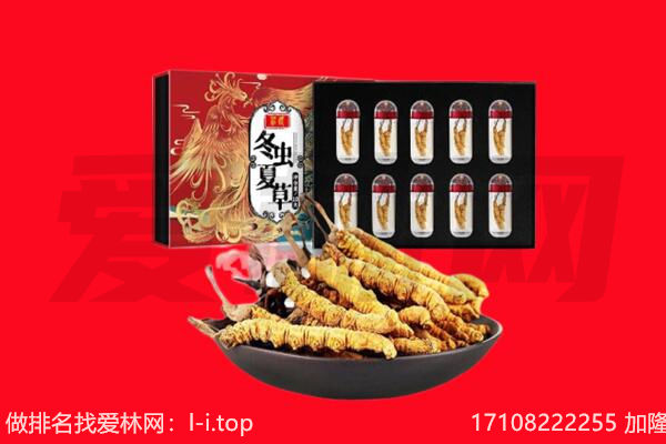 阳原县回收虫草.jpg